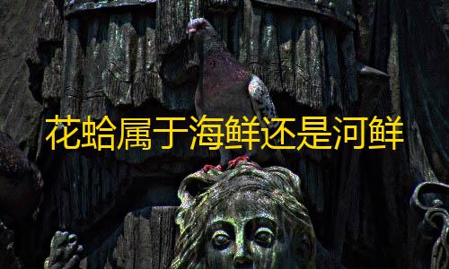 魔盟网暗区突围物资透视花蛤属于海鲜还是河鲜